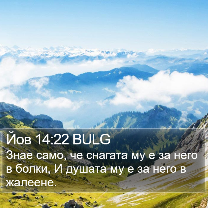 Йов 14:22 BULG Bible Study