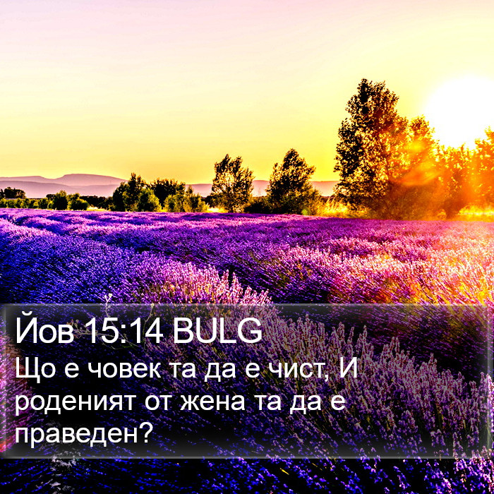 Йов 15:14 BULG Bible Study