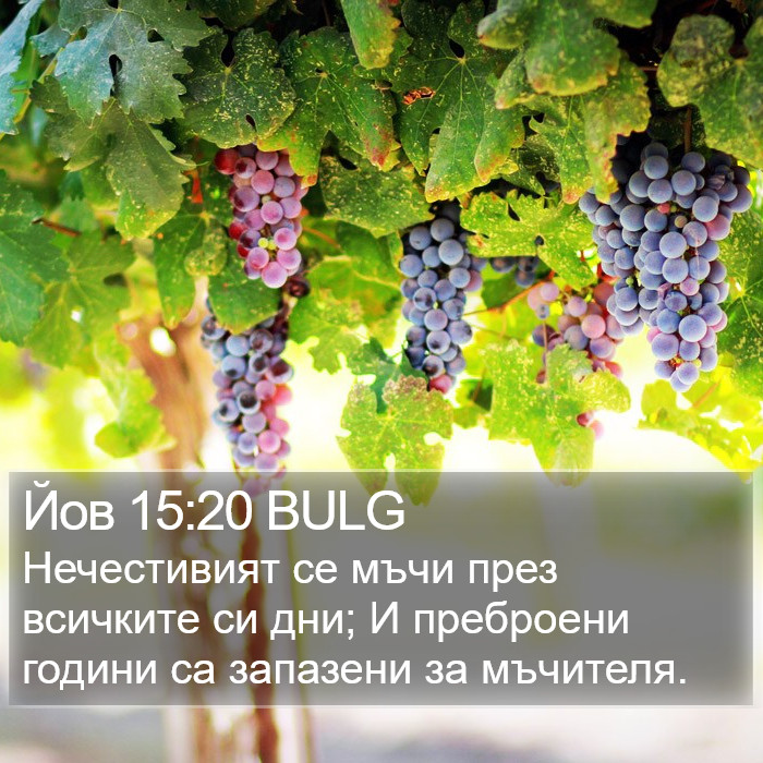 Йов 15:20 BULG Bible Study