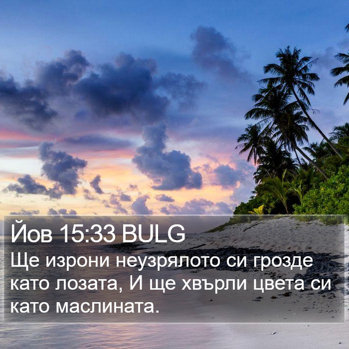 Йов 15:33 BULG Bible Study