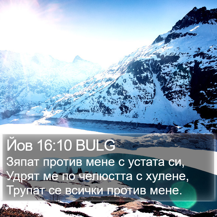 Йов 16:10 BULG Bible Study