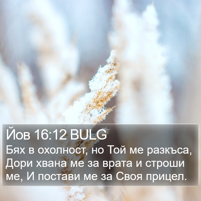 Йов 16:12 BULG Bible Study