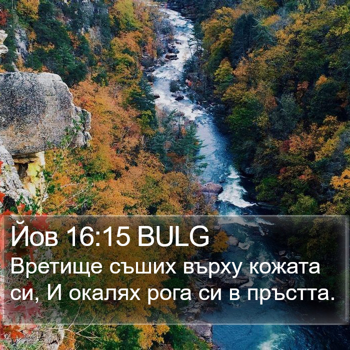 Йов 16:15 BULG Bible Study