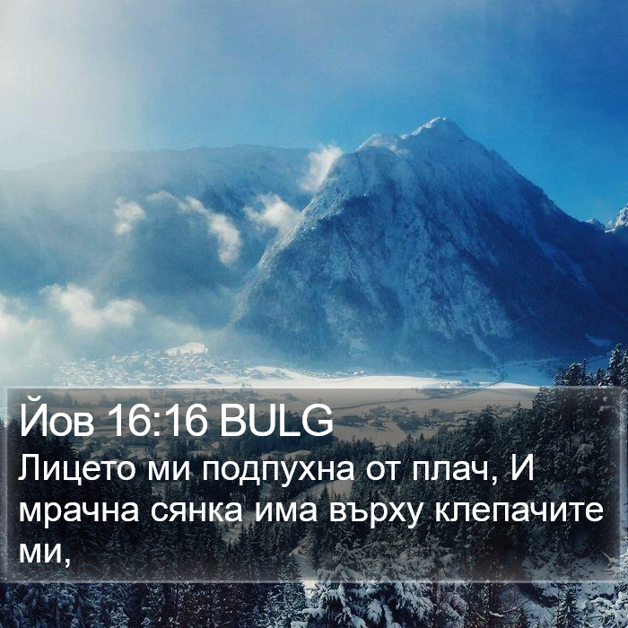 Йов 16:16 BULG Bible Study