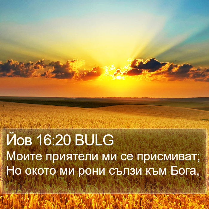 Йов 16:20 BULG Bible Study