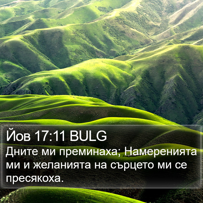 Йов 17:11 BULG Bible Study