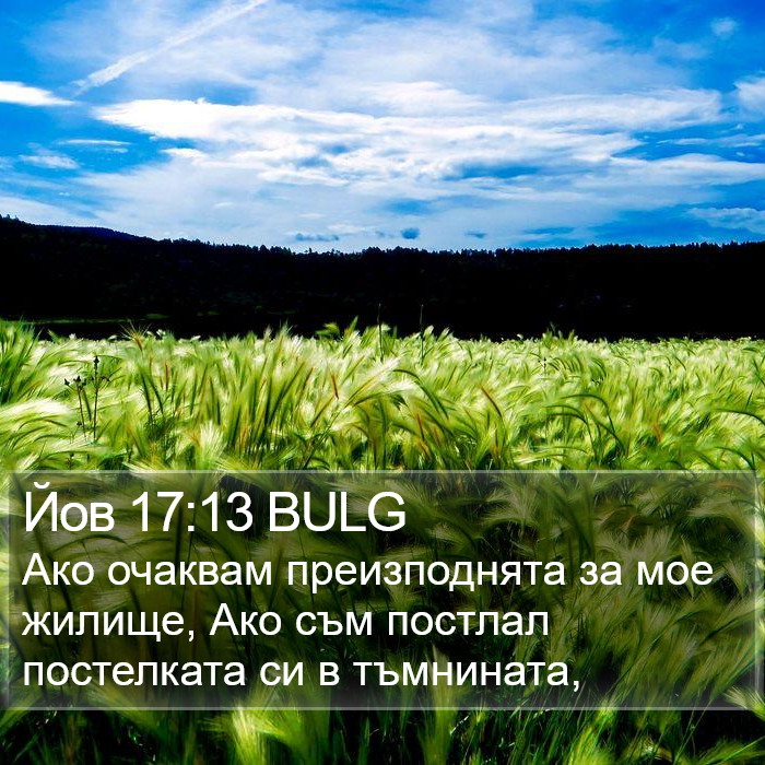 Йов 17:13 BULG Bible Study