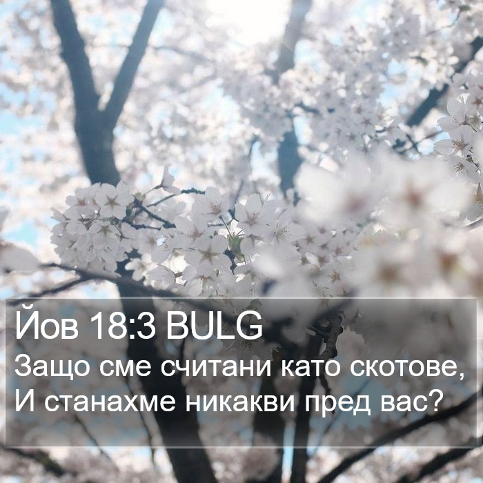 Йов 18:3 BULG Bible Study