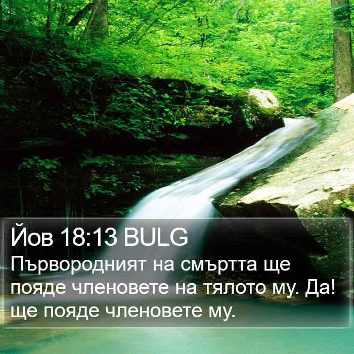 Йов 18:13 BULG Bible Study