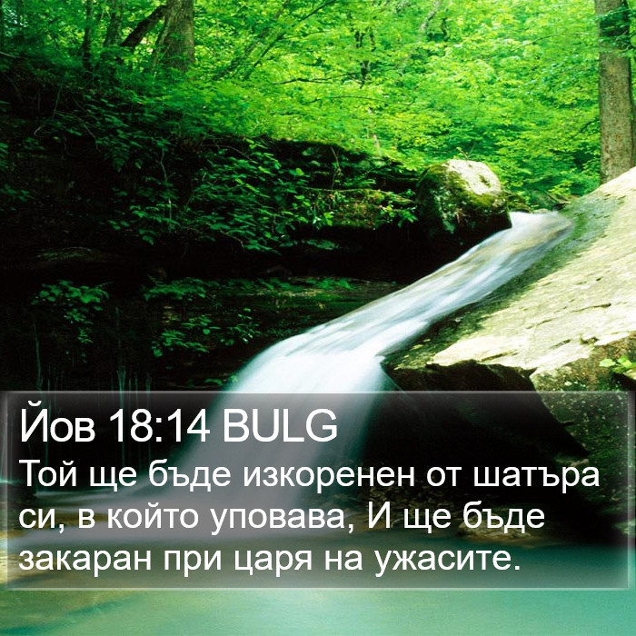 Йов 18:14 BULG Bible Study