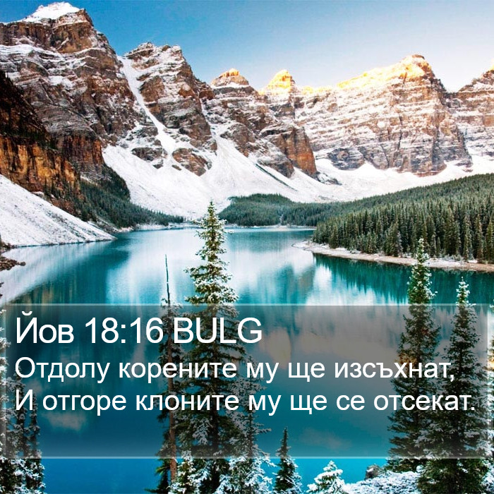 Йов 18:16 BULG Bible Study