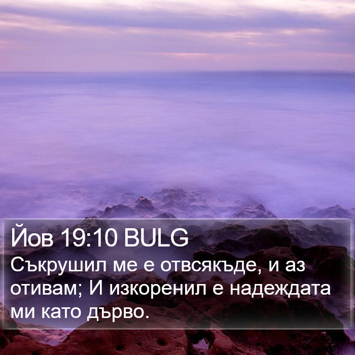 Йов 19:10 BULG Bible Study