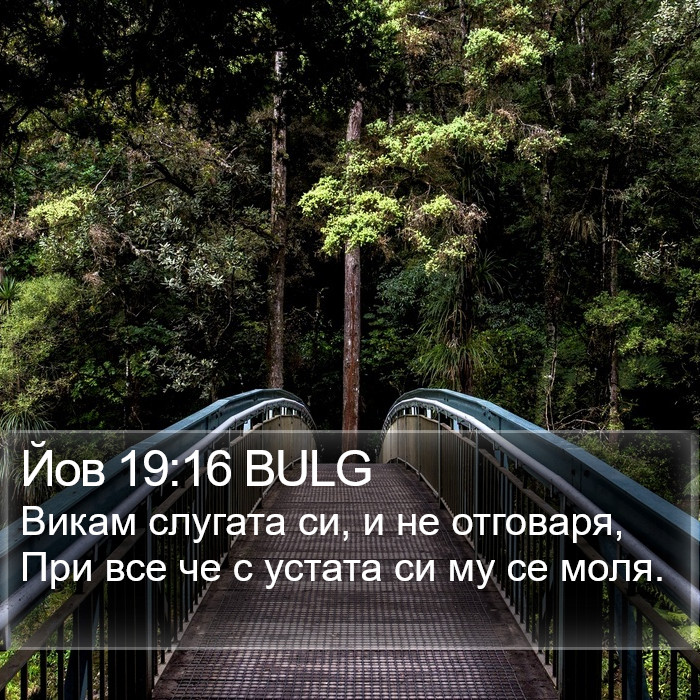 Йов 19:16 BULG Bible Study