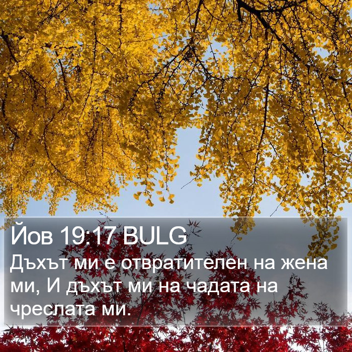 Йов 19:17 BULG Bible Study