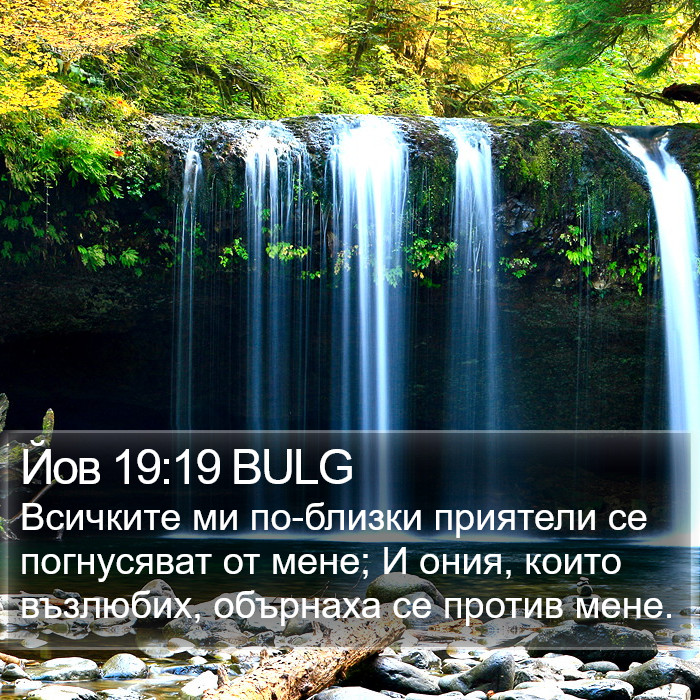 Йов 19:19 BULG Bible Study