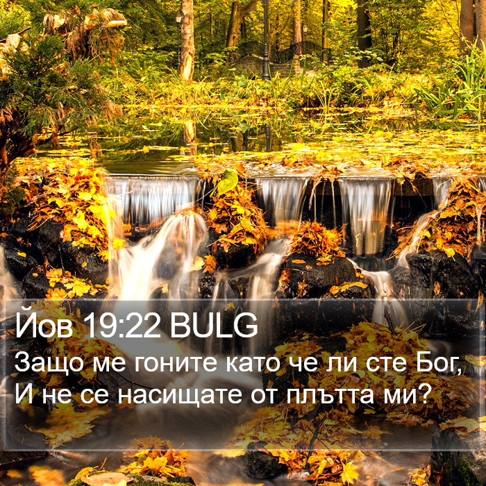 Йов 19:22 BULG Bible Study