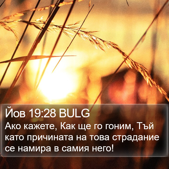 Йов 19:28 BULG Bible Study