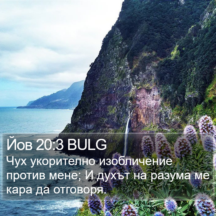 Йов 20:3 BULG Bible Study