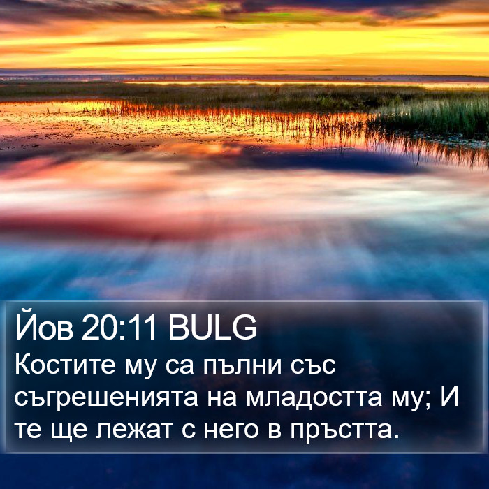 Йов 20:11 BULG Bible Study