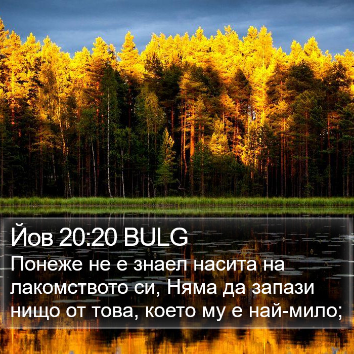 Йов 20:20 BULG Bible Study