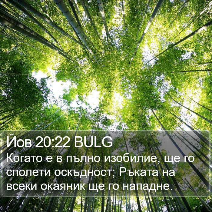 Йов 20:22 BULG Bible Study