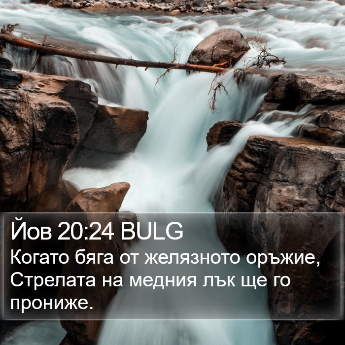 Йов 20:24 BULG Bible Study