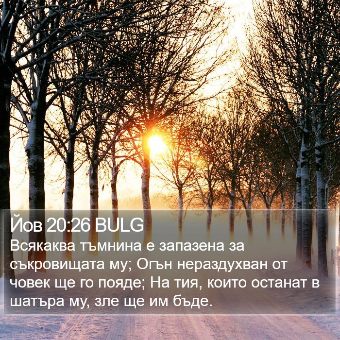 Йов 20:26 BULG Bible Study