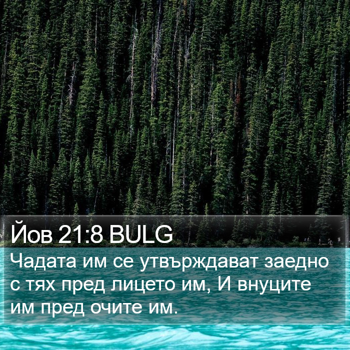 Йов 21:8 BULG Bible Study