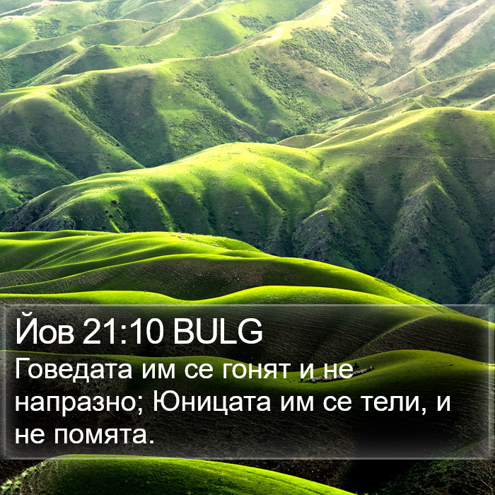 Йов 21:10 BULG Bible Study