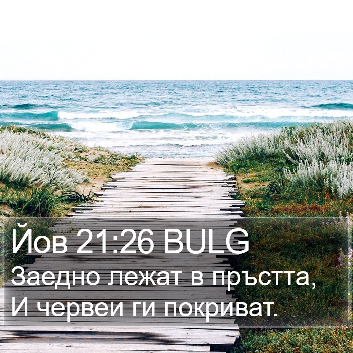 Йов 21:26 BULG Bible Study