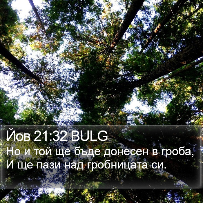 Йов 21:32 BULG Bible Study