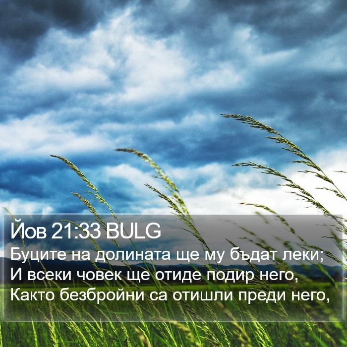 Йов 21:33 BULG Bible Study