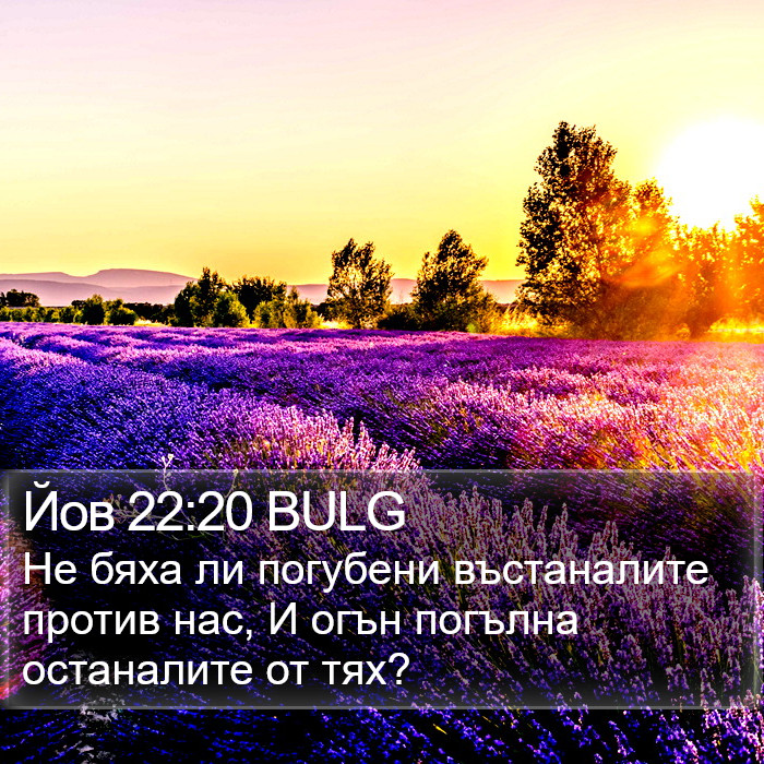 Йов 22:20 BULG Bible Study