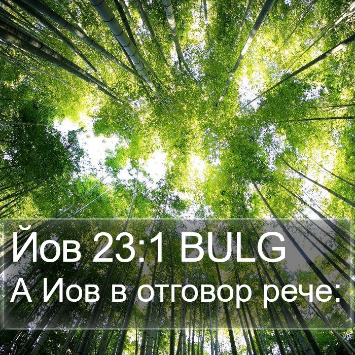 Йов 23:1 BULG Bible Study