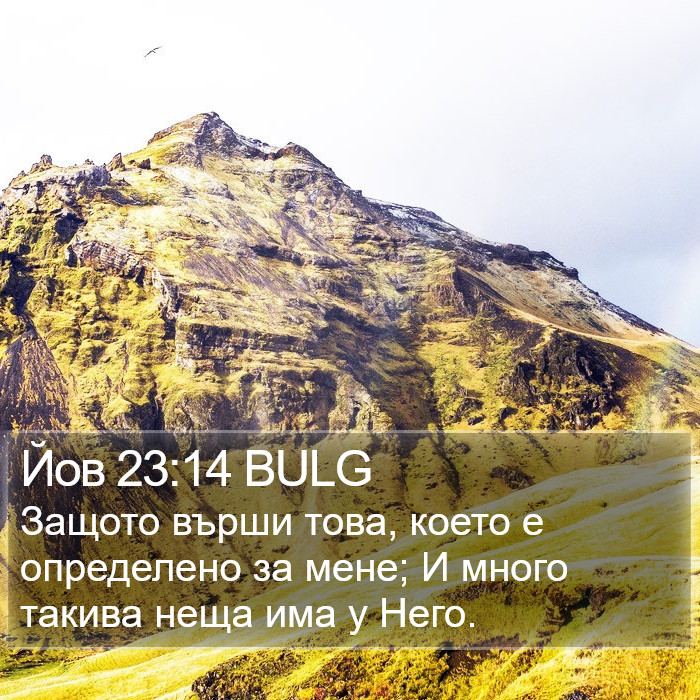 Йов 23:14 BULG Bible Study