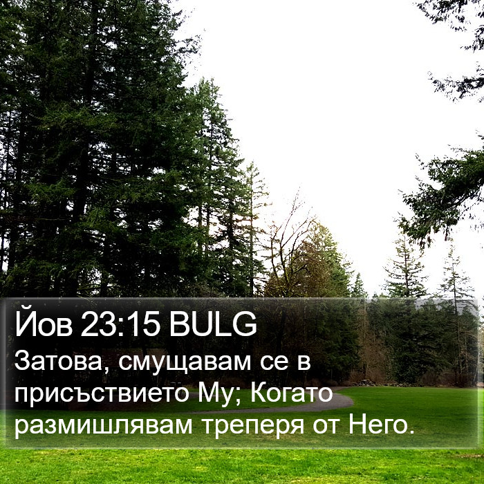 Йов 23:15 BULG Bible Study