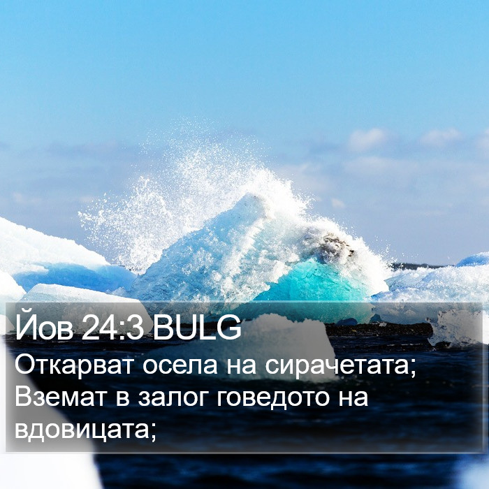 Йов 24:3 BULG Bible Study