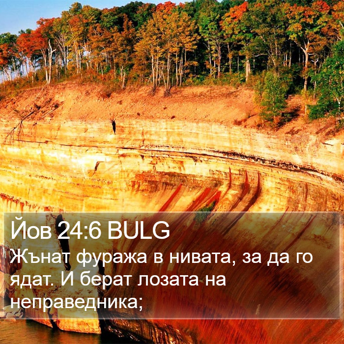 Йов 24:6 BULG Bible Study