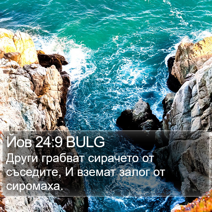 Йов 24:9 BULG Bible Study