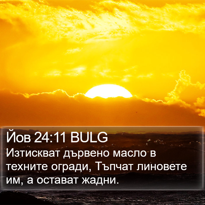 Йов 24:11 BULG Bible Study