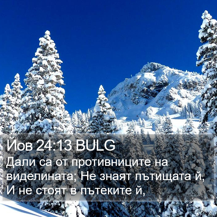 Йов 24:13 BULG Bible Study