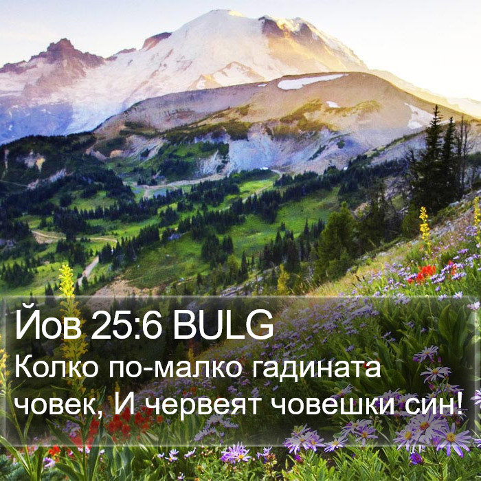 Йов 25:6 BULG Bible Study