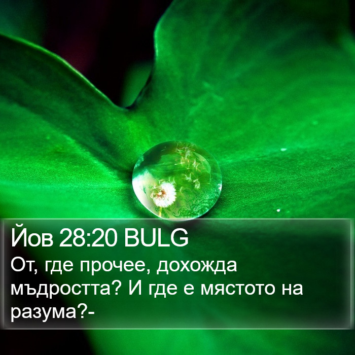 Йов 28:20 BULG Bible Study