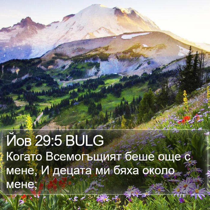 Йов 29:5 BULG Bible Study