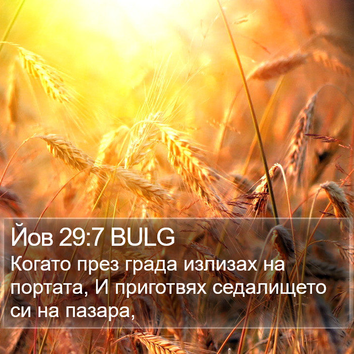 Йов 29:7 BULG Bible Study