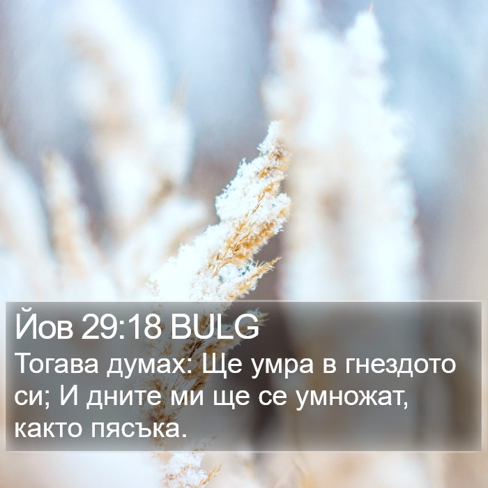 Йов 29:18 BULG Bible Study