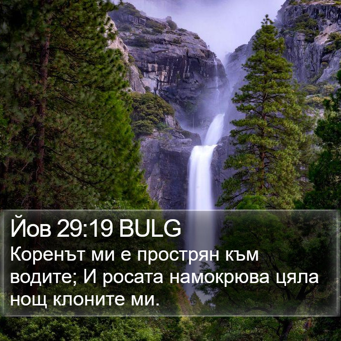 Йов 29:19 BULG Bible Study