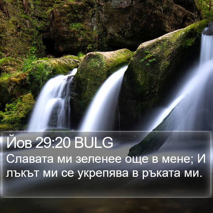 Йов 29:20 BULG Bible Study