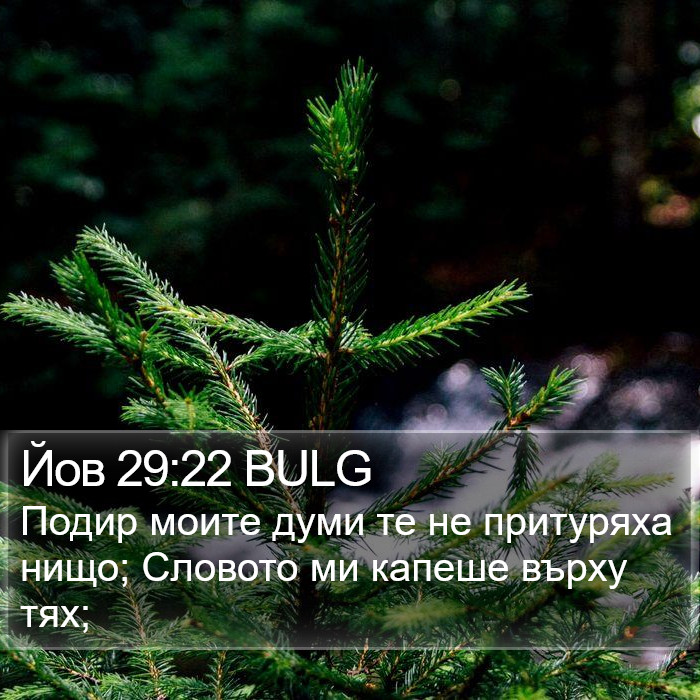 Йов 29:22 BULG Bible Study