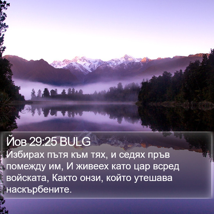 Йов 29:25 BULG Bible Study